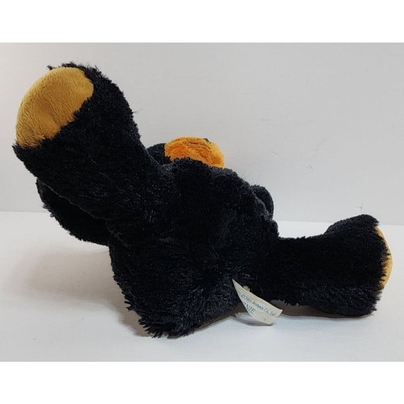 2005 Wishpets Bernie the Black Bear Plush Stuffed Animal Soft Fuzzy 10 Inches - Picture 6 of 8